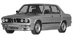 BMW E28 P0BFB Fault Code